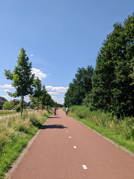 Ein rot asphaltierter Zweirichtungsradweg in den Niederlanden 