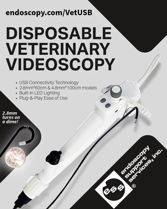 Disposable Veterinary Videoscopy