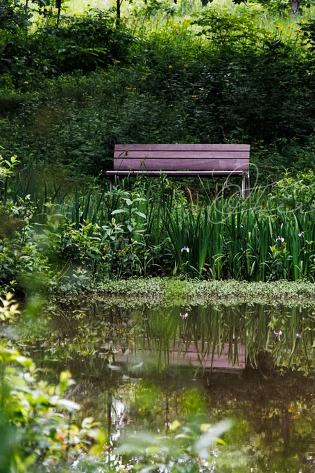 Bench next to a small pond, reflection on the water
