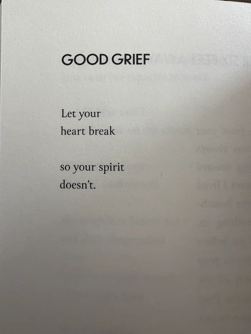 Picture of “Good Grief” from Andrea Gibson’s book, “You Better Be Lightning”


Let your
heart break

so your spirit
doesn’t.