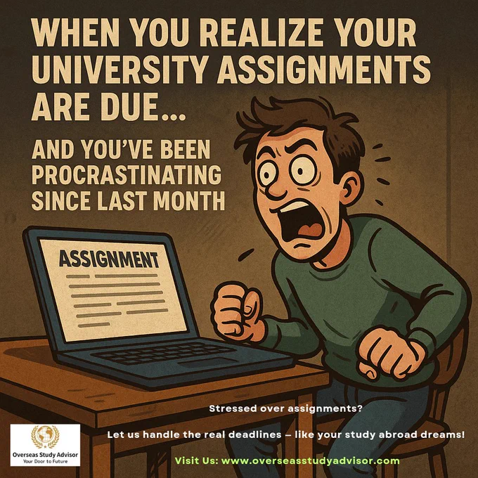 A hilariously relatable moment when you realize your university assignments are due and you've been procrastinating for a month—panic sets in, but hey, maybe someone else can handle the real deadlines!