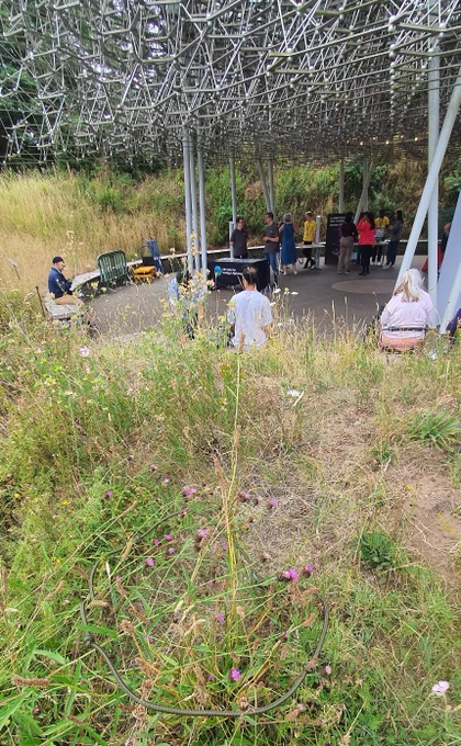 A FIT Count in progress, targeting knapweed in the wild flower meadow next to The Hive
