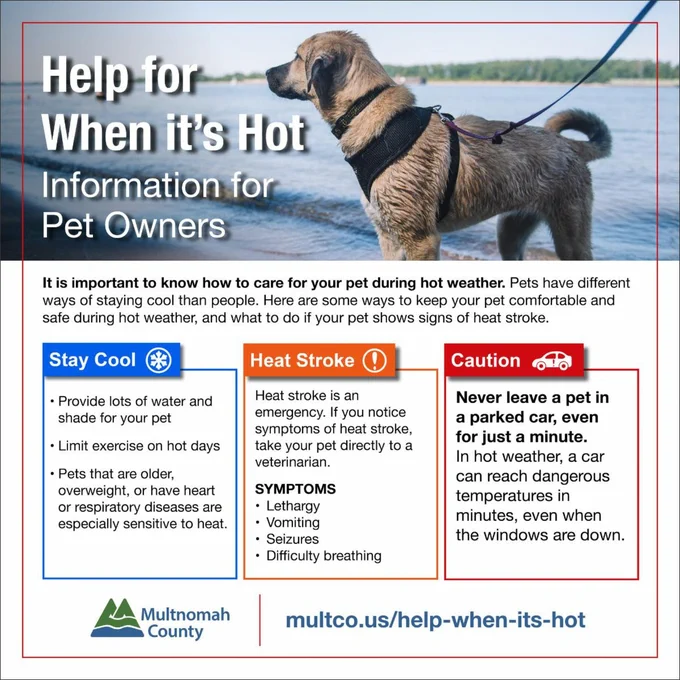 Help for When it's Hot: Information for Pet Owners. The image shows a dog on a leash walking by water. Below the image are three sections. 'Stay Cool' , 'Heat Stroke' , 'Caution' section states: Never leave a pet in a parked car, even for just a minute.  multco.us/help-its-hot."