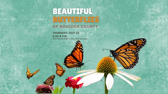 Illustration of monarch butterflies fluttering around colorful flowers against a textured teal background. Overlaid text reads: “Beautiful Butterflies of Boulder County. Thursday, July 24, 6:30–8 p.m. Ron Stewart Parks & Open Space Building.” 