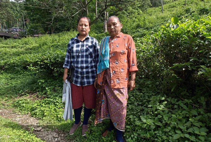 Tea garden workers at Longview tea estate. 