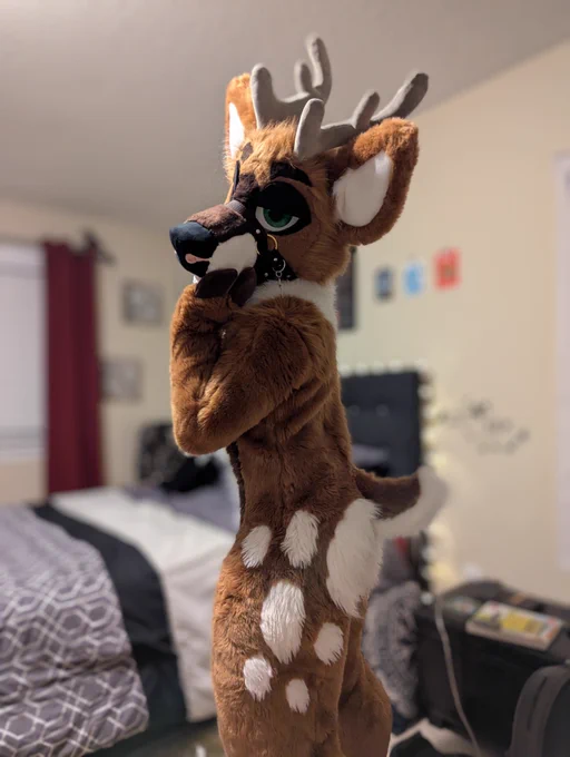 deer fursuiter in bridle looks seductively at the camera