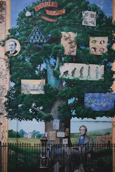 Mural of Darwin underneath a tree with his various discoveries in the tree