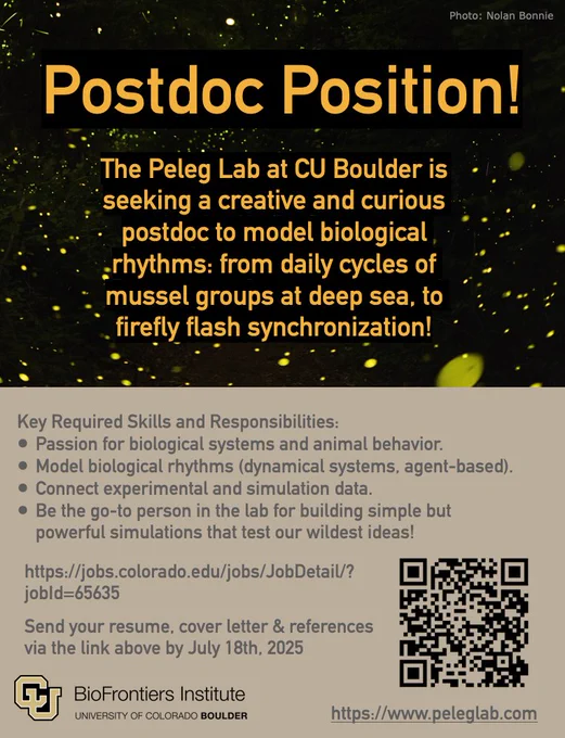 Recruitment poster for a postdoc position in the Peleg Lab at CU Boulder. Text highlights a search for a creative researcher to model biological rhythms in systems like mussels and fireflies. Includes job link, deadline (July 18, 2025), QR code, and BioFrontiers Institute logo, with a glowing firefly forest background. https://jobs.colorado.edu/jobs/JobDetail/?jobId=65635