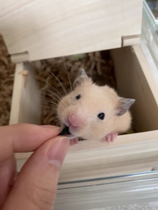 にっこりスマイル