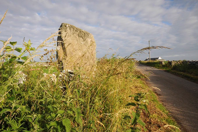 Photo of a standing stone among vegetation at a roadside.