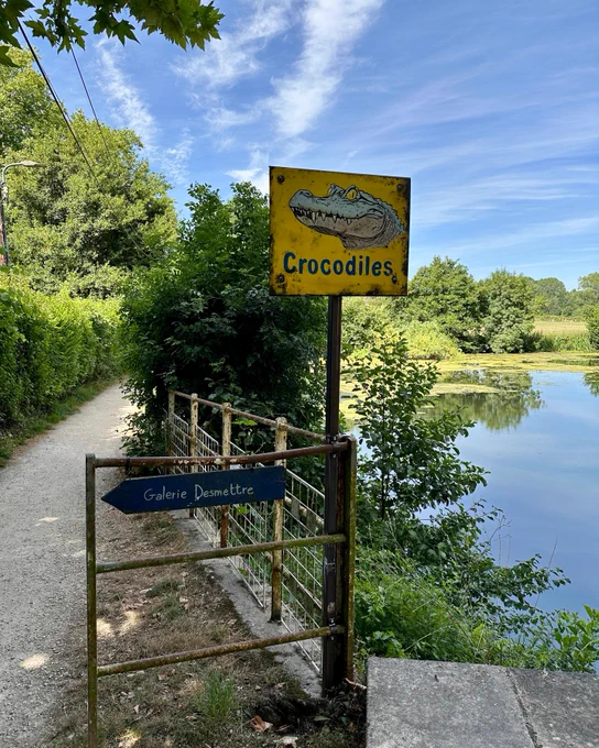 Des crocodiles à La Roussille
