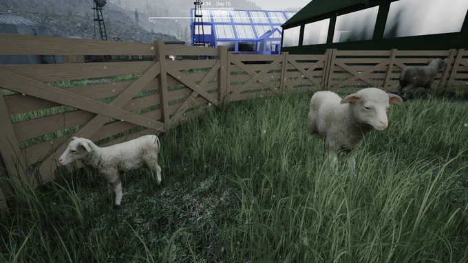 A screenshot from the game Ranch Simulator showing sheep in a pen on a ranch, with a greenhouse in the background.