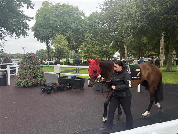 Haydock Park paddock enclosure