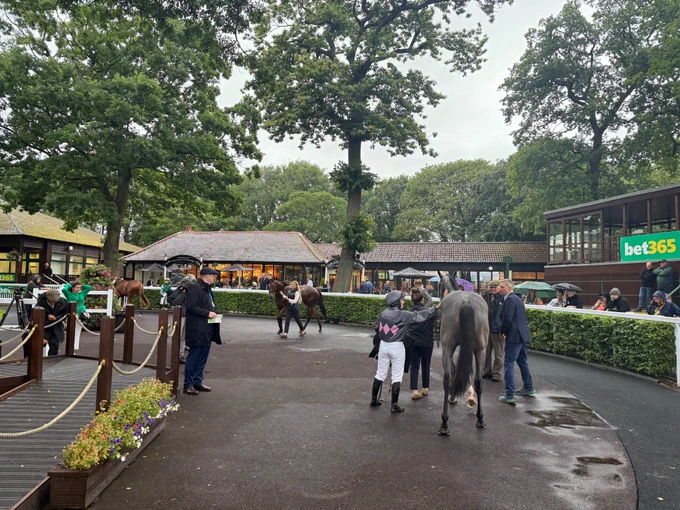 Haydock Park paddock