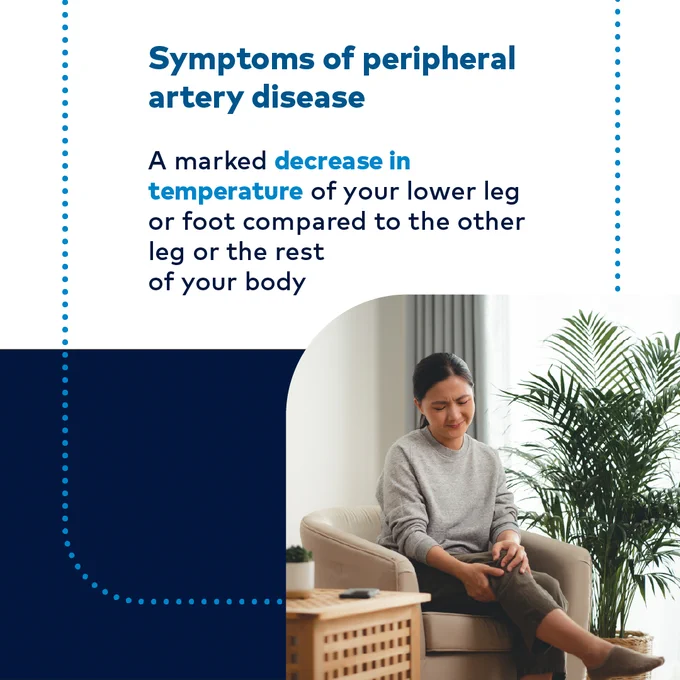Symptoms of peripheral artery disease

A marked decrease in temperature of your lower leg or foot compared to the other leg or the rest of your body