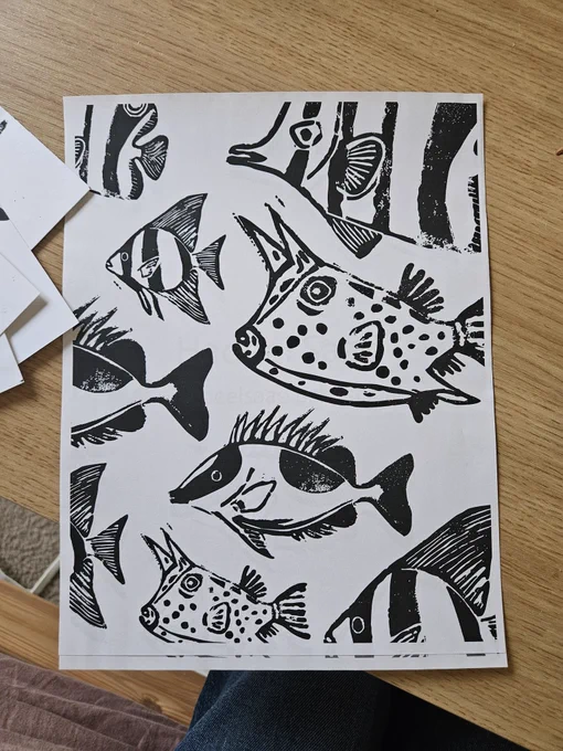 Print of lincout spadefish, boxfish, butterfly fish, and rabbitfish 
