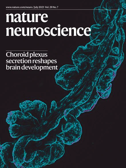 Cover of the July 2025 issue of Nature Neuroscience (Vol. 28 No. 7), featuring a high-resolution confocal microscopy image of the embryonic mouse fourth ventricle choroid plexus, highlighted in cyan and magenta on a black background. The title reads: “Choroid plexus secretion reshapes brain development.”