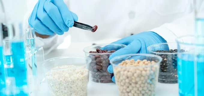 laboratory image of a technician inspecting beans in a cup 