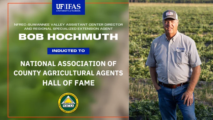 Bob Hochmuth, NFREC-Suwannee Valley Assistant Center Director and Regional Specialized Agent, standing in a field. Text overlay reads "NFREC-SUWANNEE VALLEY ASSISTANT CENTER DIRECTOR AND REGIONAL SPECIALIZED EXTENSION AGENT. BOB HOCHMUTH INDUCTED TO NATIONAL ASSOCIATION OF COUNTY AGRICULTURAL AGENTS HALL OF FAME." Image includes University of Florida IFAS logo and NACAA logo.