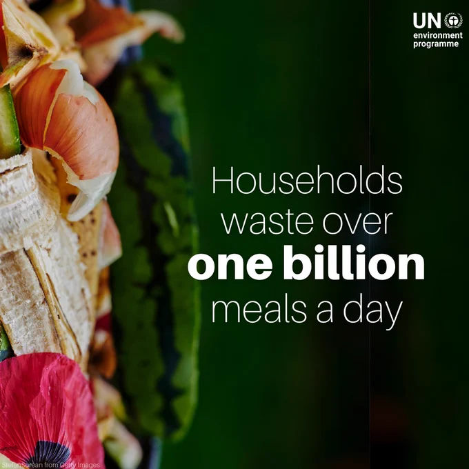 Close-up of various food scraps, including banana peels, watermelon rinds, and other fruit and vegetable waste. Text on the right reads 'Households waste over one billion meals a day.