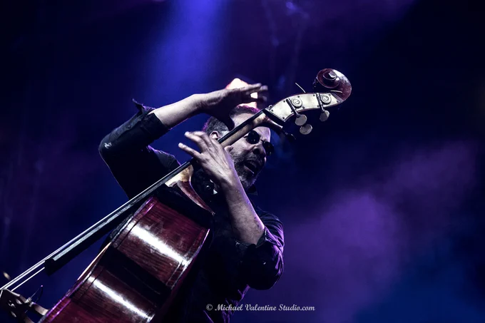 Stanley Clarke @ the Love Supreme Jazz Festival 2025. More of the great Stanley Clarke right here.. https://michaelvalentinestudio.com/jazz_gallery/stanley_clarke_lsjf2025/index.php