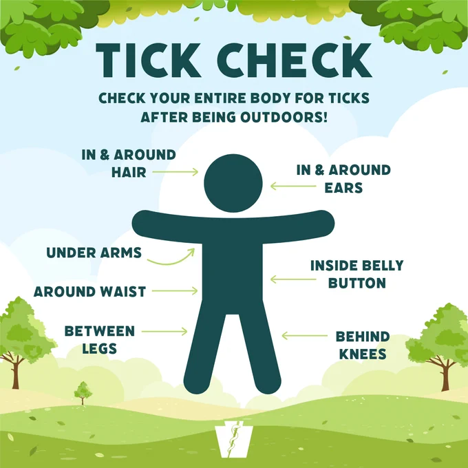 Tick Check: Check your entire body for ticks after being outdoors! In and around hair, under arms, around waist, between legs, in and around ears, inside belly button, behind knees.