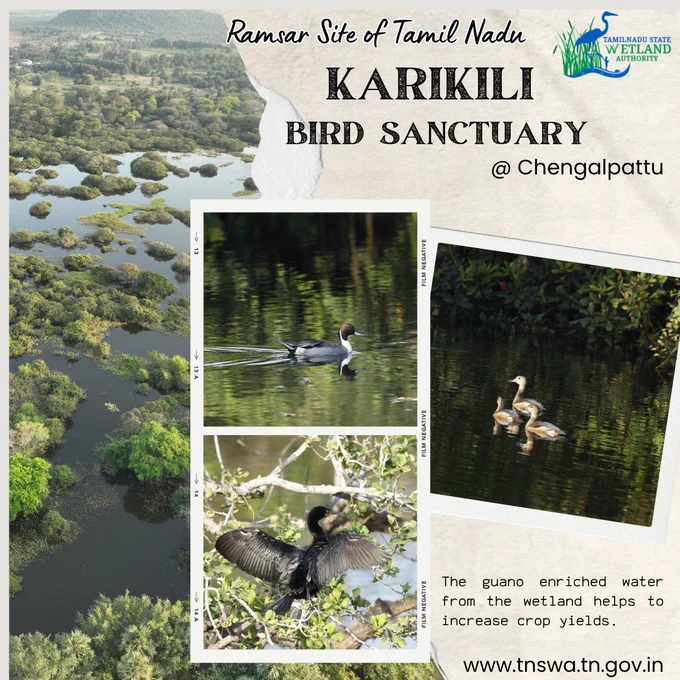Home to a diverse range of migratory and resident birds, this vibrant wetland is not just a paradise for bird lovers but also plays a vital role in local agriculture. 🌾💧
Did you know? The guano-enriched water from the sanctuary helps boost crop yields! 🌱
