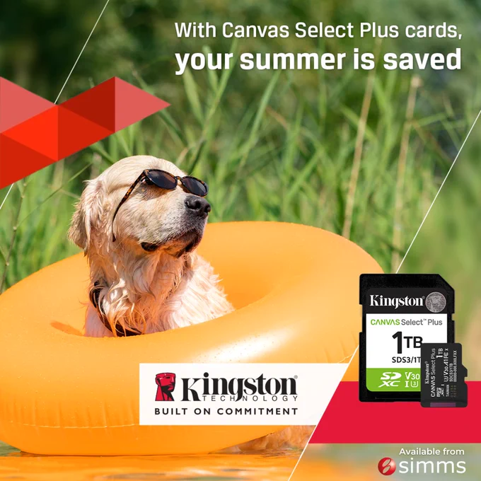 Kingston Canvas Select Plus SD and microSD cards. Available from Simms.
Dog in sunglasses in an inflatable ring