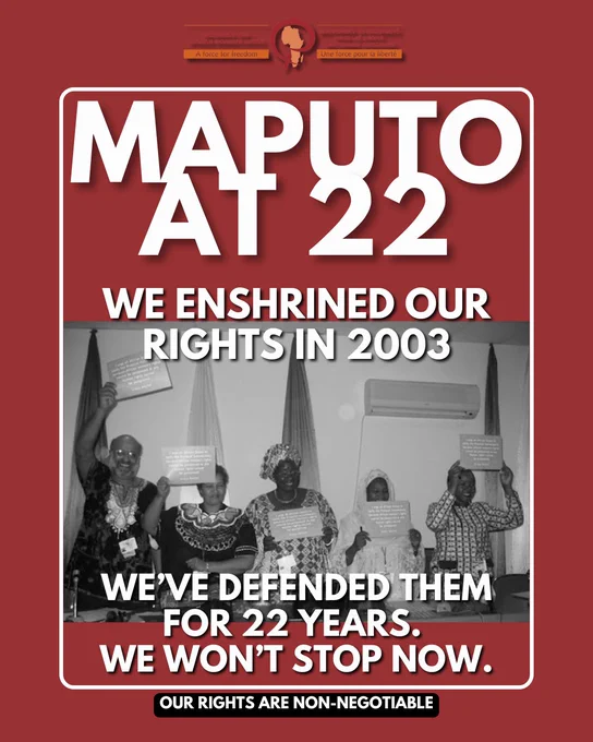 Maputo at 22: We enshrined our rights in 2003
We've defended them for 22 years. 
We won't stop now. 
Our rights are non-negotiable. 
Black and white photograph of 5 founding members of the SOAWR Coalition celebrating the adoption of the Maputo Protocol. 