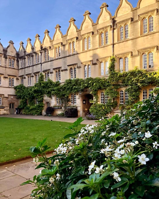 Flowers, plants and a lawn with historic buildings in the background, at Jesus College in Oxford.