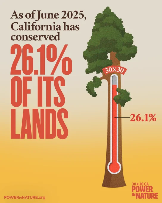 Infographic illustrating California's land conservation progress as of June 2025. A graphic tree trunk shows a measurement reaching 26.1% to indicate the amount of land conserved. The text notes "30x30 CA Power in Nature" at the bottom.
