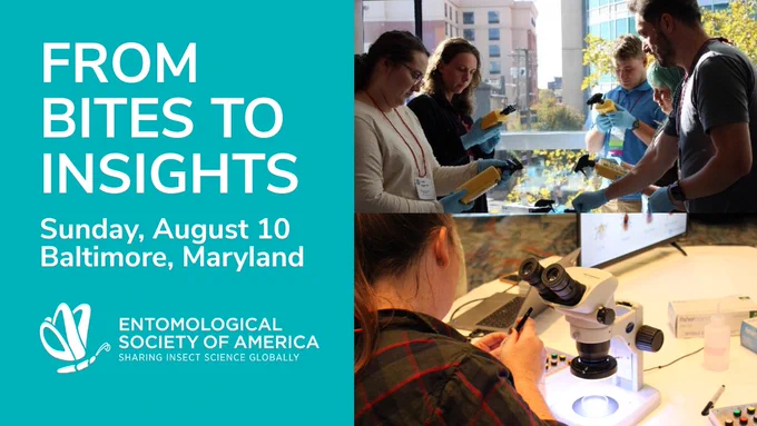 The image includes white text on a blue background that reads “From Bites to Insights. Sunday, August 10. Baltimore, Maryland,” along with the ESA logo. It also includes two photos from a previous Bites to Insights workshop. In the top photo, five participants hold yellow canisters. In the bottom photograph, a participant looks into a microscope. 