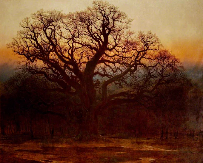 Oak tree with orange sky