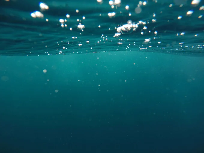 Photo under the surface of the ocean.