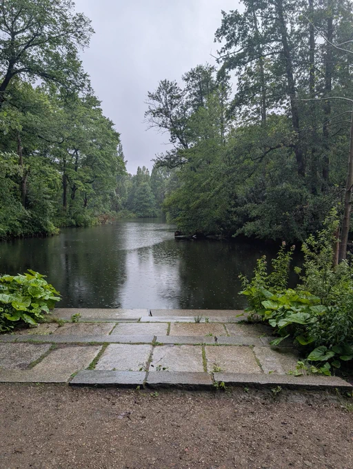 Tranquil and picturesque large pond with lots of greenery around