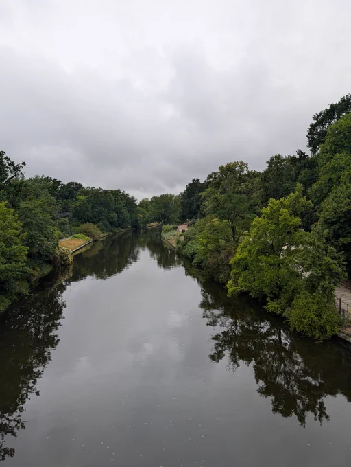 View of river lined with trees from bridge