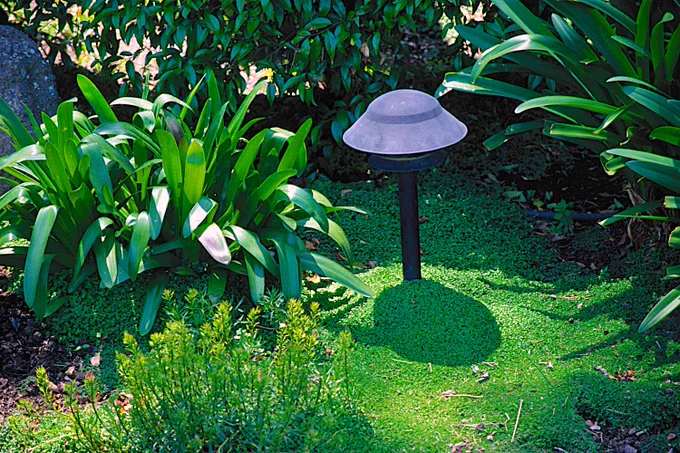 Whether you choose traditional low-voltage landscape lighting or the simplicity of solar landscape lights, you'll transform your yard's appearance at night and improve safety for walking along its paths, walks, and stair steps. Extend the hours you can enjoy the outdoors and admire your landscape. 🔗 Copyright ©2003, 2025 by Dolezal & Associates. All Rights Reserved. grownbyyou.com