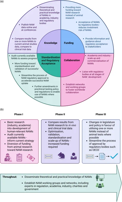 Figure 3 from the linked paper: "An outline of the necessary steps toward establishing and validating NAMs for use in basic research and regulation. (a) A schematic of the four main themes identified in this review, and ways to promote NAMs under the respective themes. (b) A tri-phasic approach to improving and disseminating NAMs, with some aspects that would be important throughout these phases."