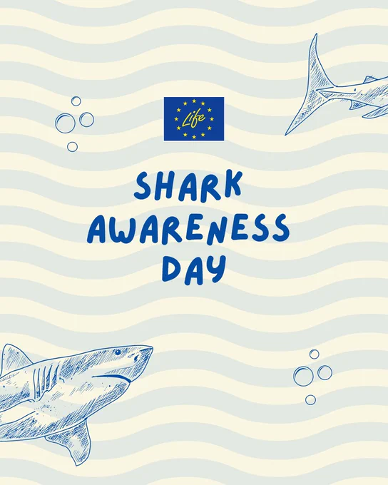 shark awareness day