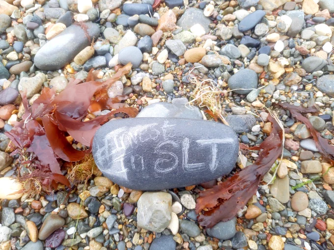 A slate pebble has # Invest In Speech and Language Therapy etched on it. It is framed by brown hued sea weed and pebbles. 