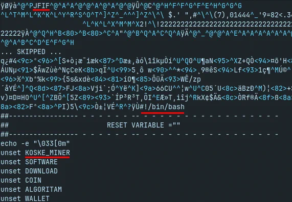 Bash shell script after JPEG data in image (some data omitted for clarity)