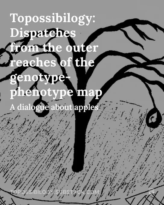 A drawing of an apple tree with text on top (the title of the substack post): "Topossibilogy: Displatches from the outer reaches of the genotype-phenotype map"