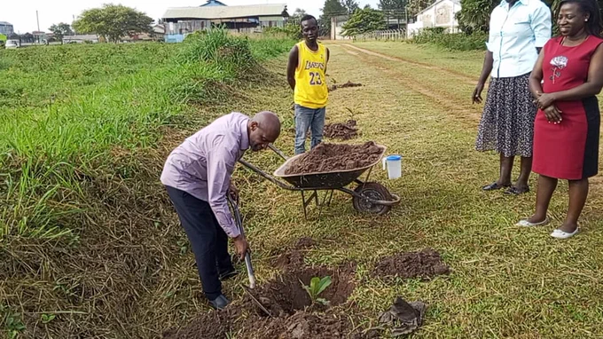 Dr. Aggrey Agumia, E.D FARA planting shea during the #AIRTEAProject Steering Committee Visit in Lira. 