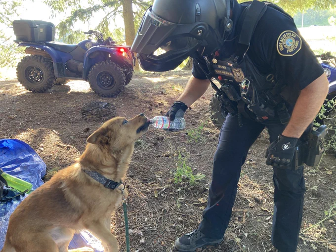 Handing out water on the trail to a dog.