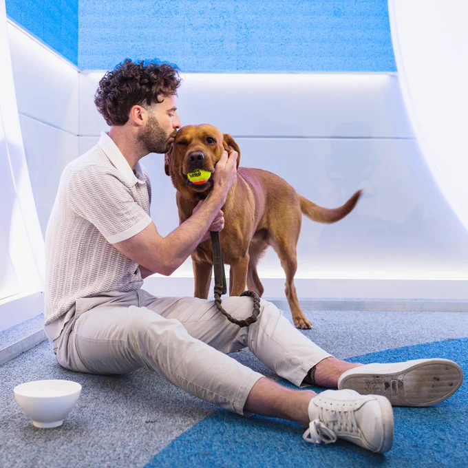Jordan North sitting on the floor with Creed. He's kissing Creed on the head while Creed holds a tennis ball in his mouth.

