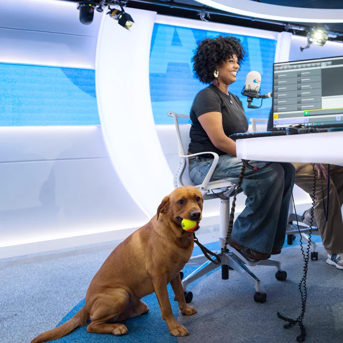 Creed sat on the floor with a tennis ball in his mouth. Rodas is on a chair next to him, doing an interview on the radio.