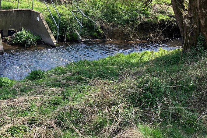 View of a Southborough Stream with flowing water, surrounded by lush greenery and a concrete structure partially visible on the left side.