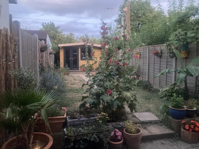 A garden with flowers, plants and garden room.