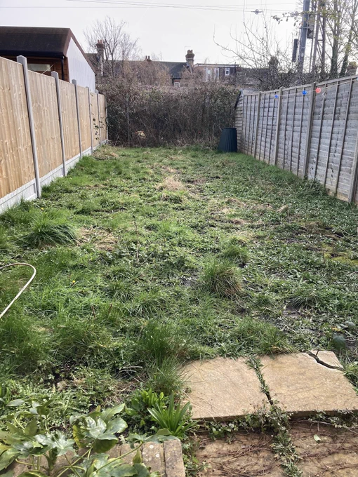 A bare lawn.