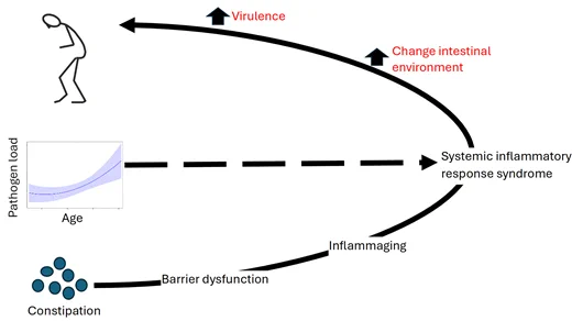 View largeDownload slide
Hypothesis for aetiopathogenesis of Parkinson’s disease
